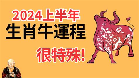 肖牛|2024年屬牛人運勢：實現你的目標